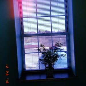 Meet your Posher, Lamia